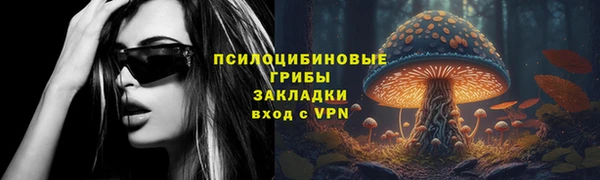 гашик Бугульма