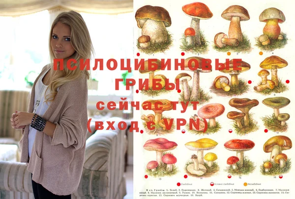 прущая мука Бородино