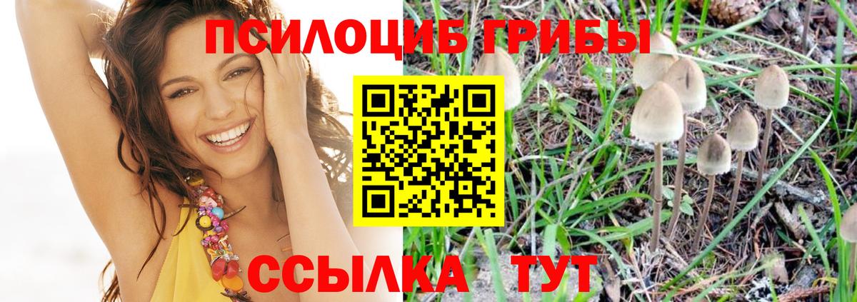 Галлюциногенные грибы MAGIC MUSHROOMS  Вход с VPN  Можайск 